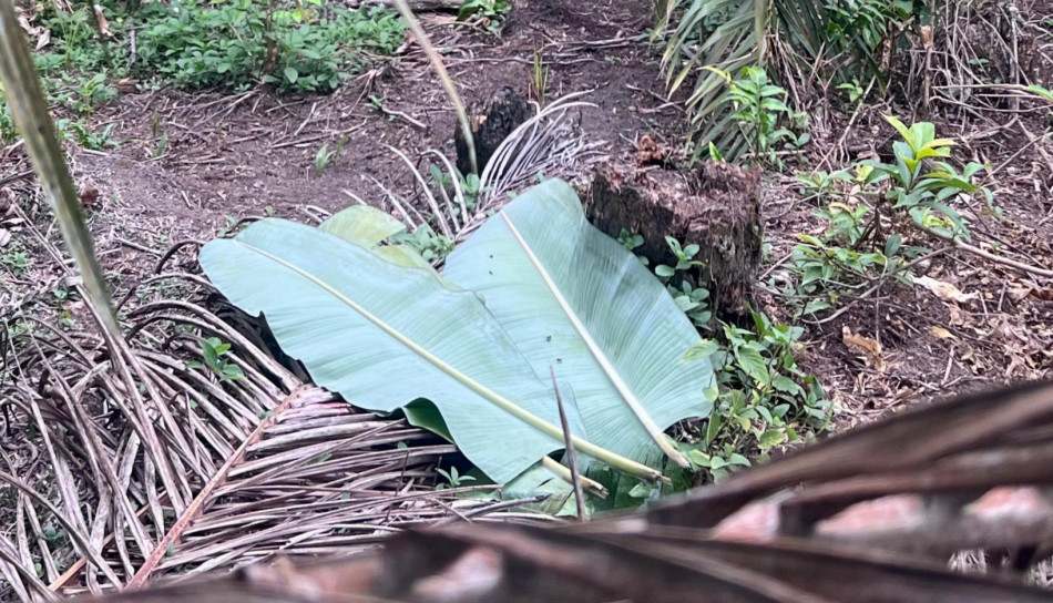 Tragis! Bayi Laki-laki Ditemukan Tewas Diduga Dibuang Orang Tuanya di Tambang
