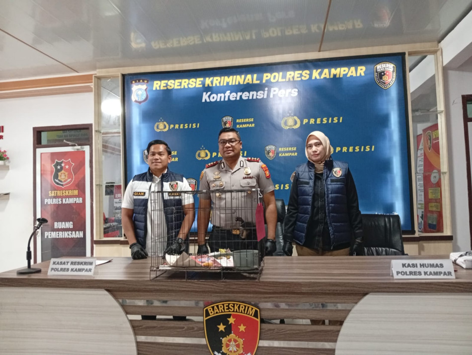 Polres Kampar Ungkap Perdagangan Owa Ungko, Satu Pelaku Diamankan