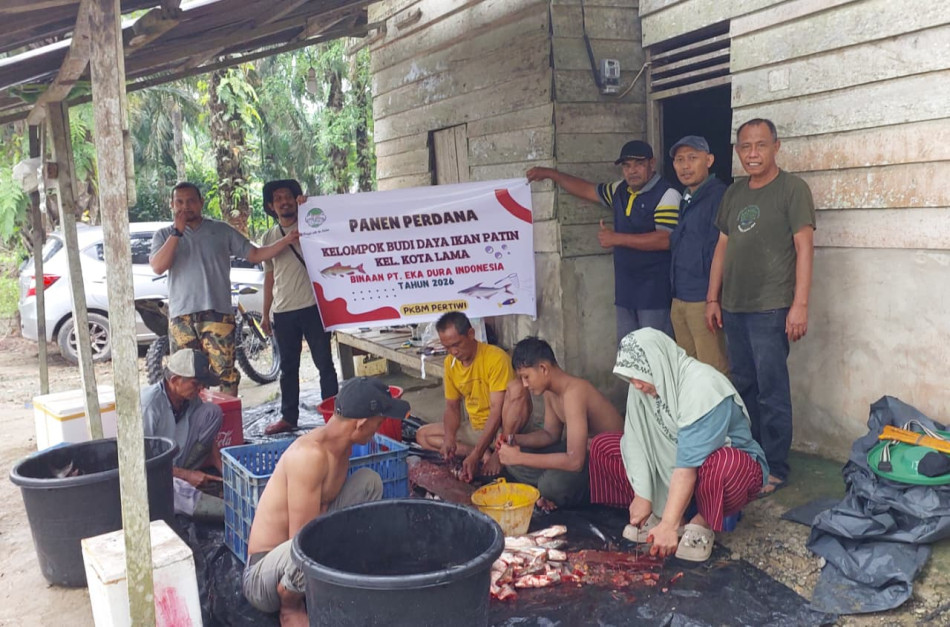 Panen Perdana Ikan Patin Binaan PT EDI di Kunto Darussalam Diserap Dapur MBG